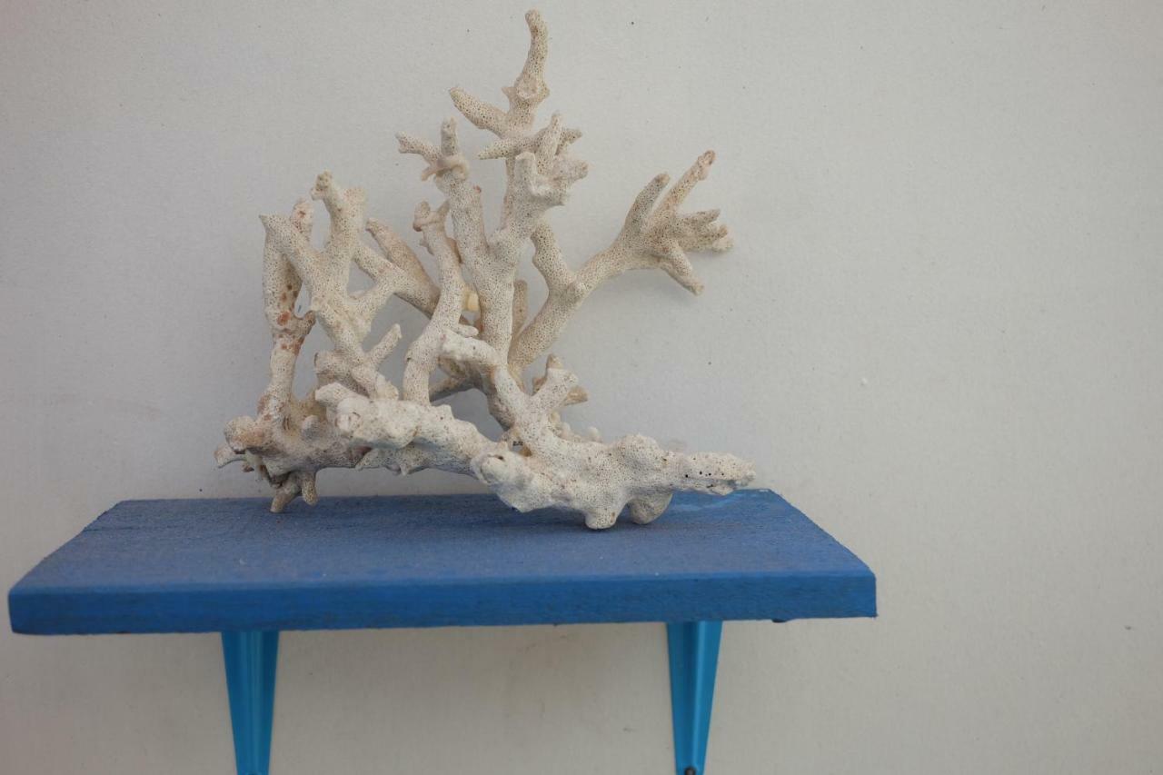 Blue Coral Homestay Karimunjawa Ngoại thất bức ảnh